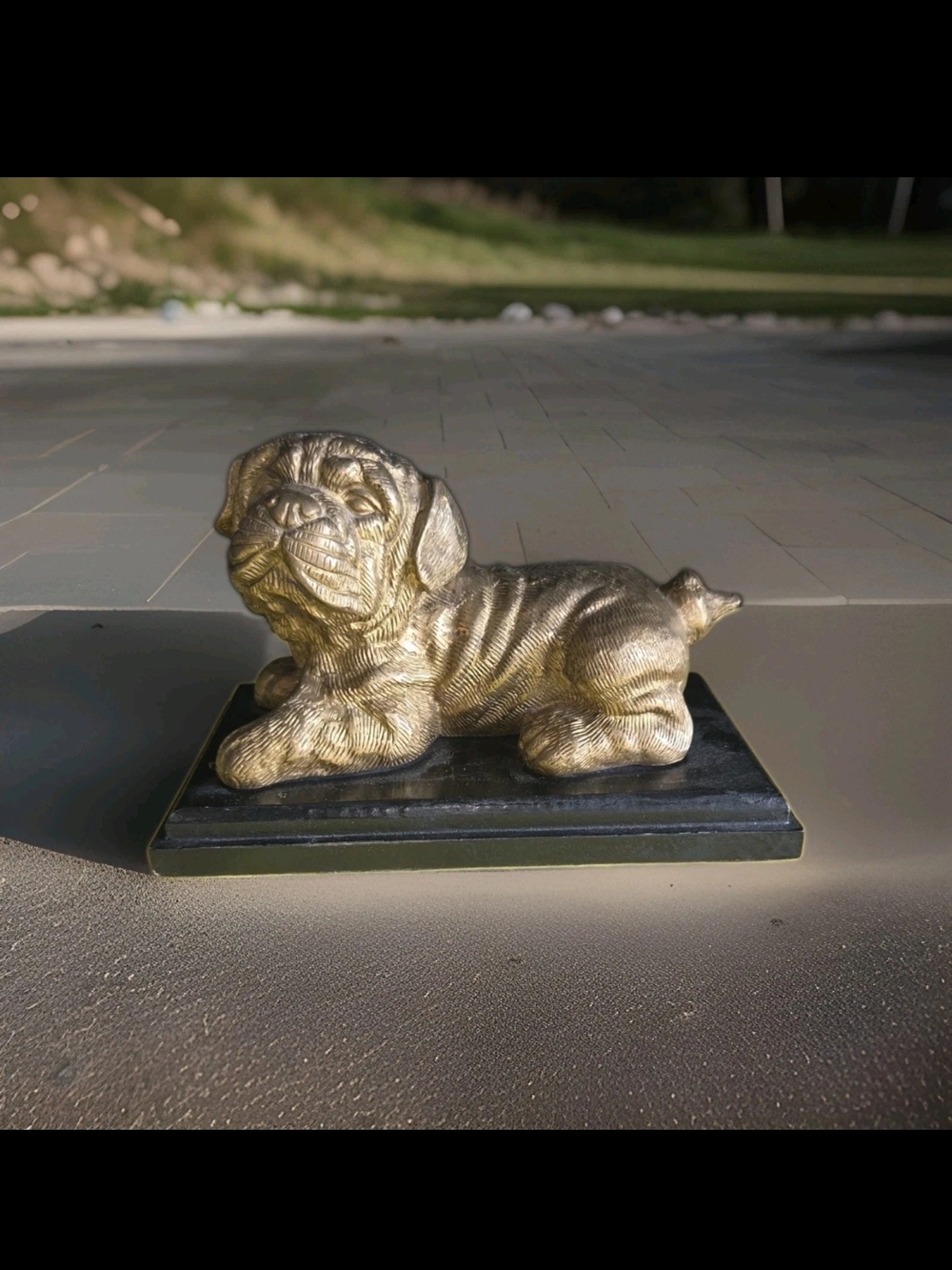 Vintage Gold Tone Wrinkled Bulldog Puppy Brass Sculpture Art On Wood Platform